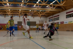 2016-01-03_Halle (121 von 155)