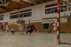 2016-01-03_Halle (123 von 155)