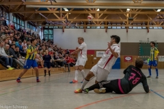 2016-01-03_Halle (130 von 155)