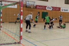 2016-01-03_Halle (60 von 155)